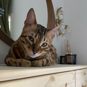 Meet your Posher, Kristine